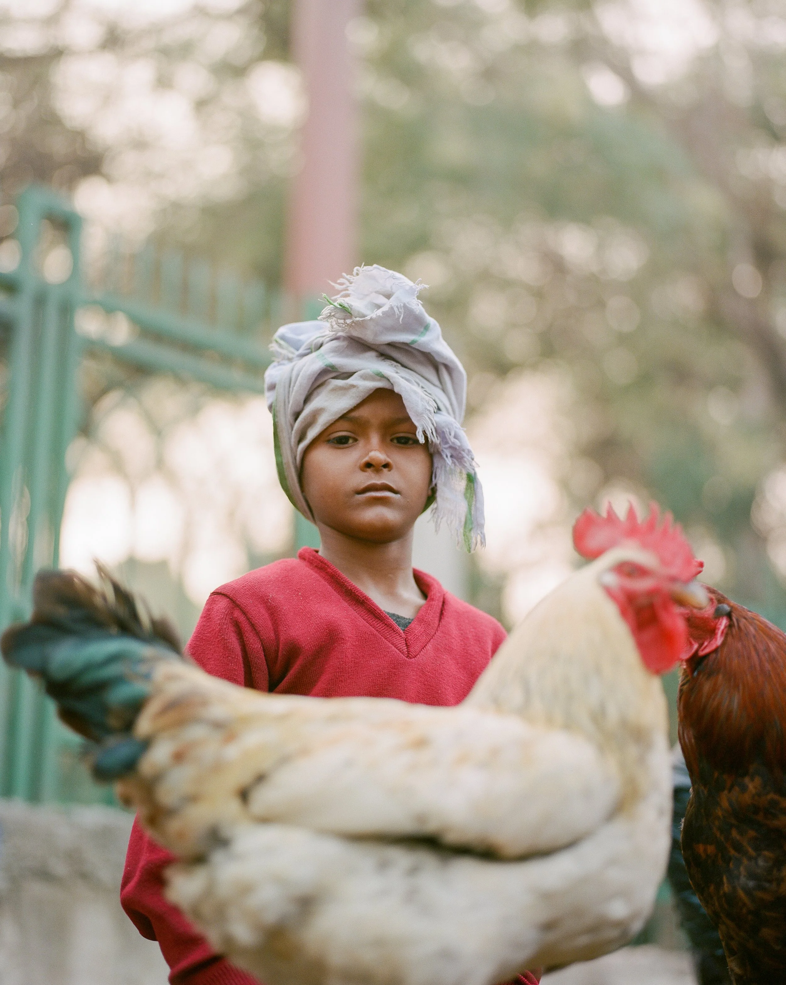 India — Joe Greer